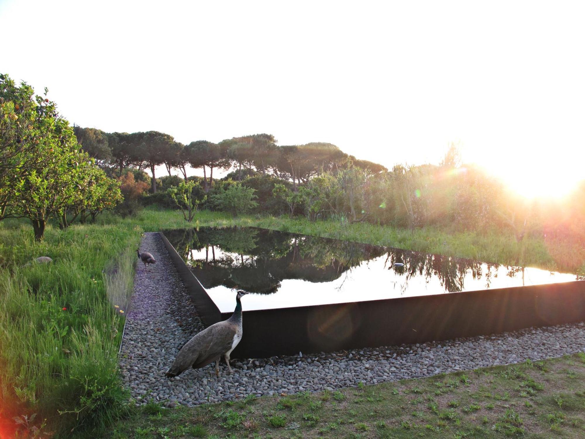 Quinta Do Miguel Villa Aldeia do Meco Exteriör bild