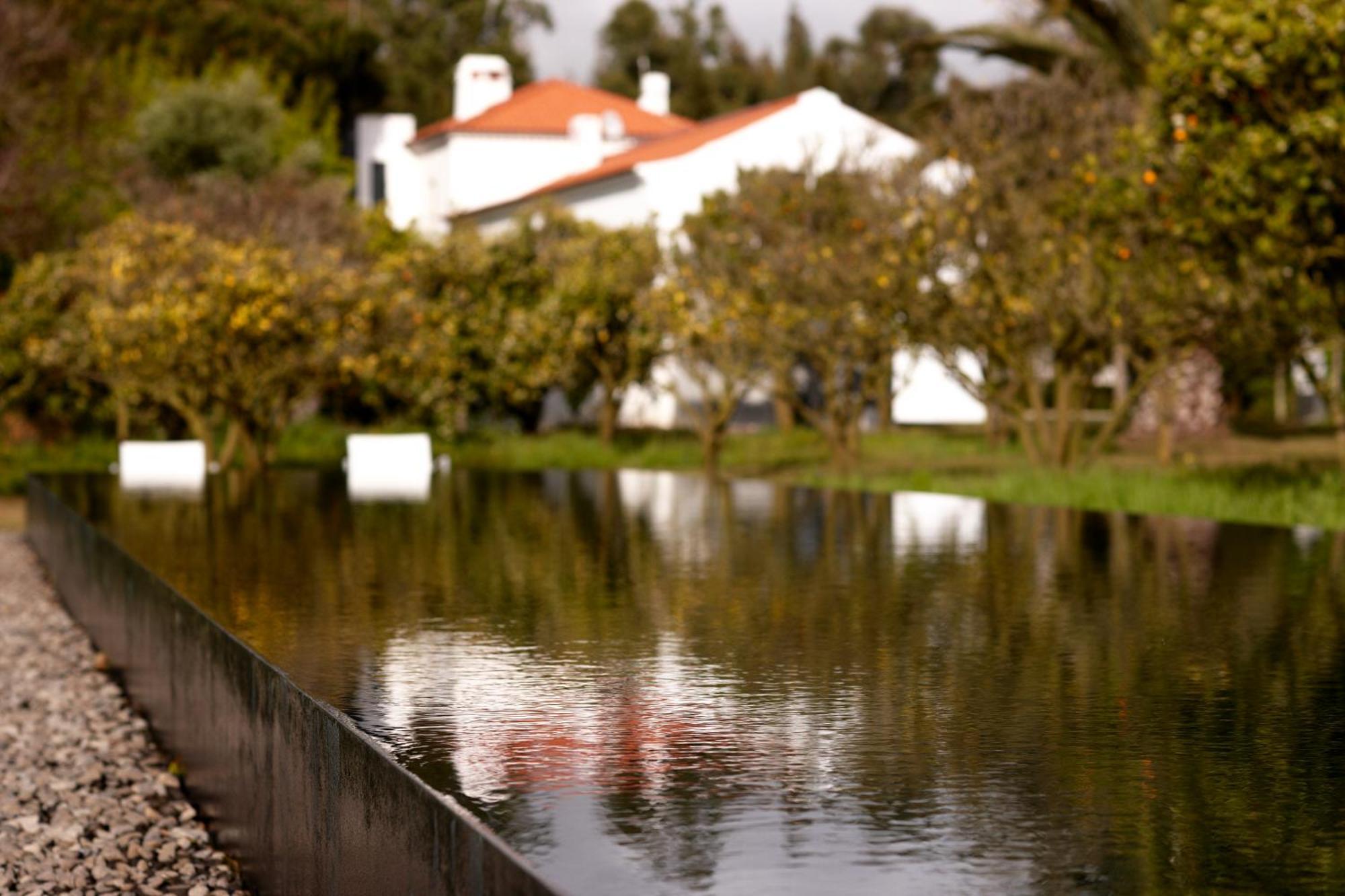 Quinta Do Miguel Villa Aldeia do Meco Exteriör bild