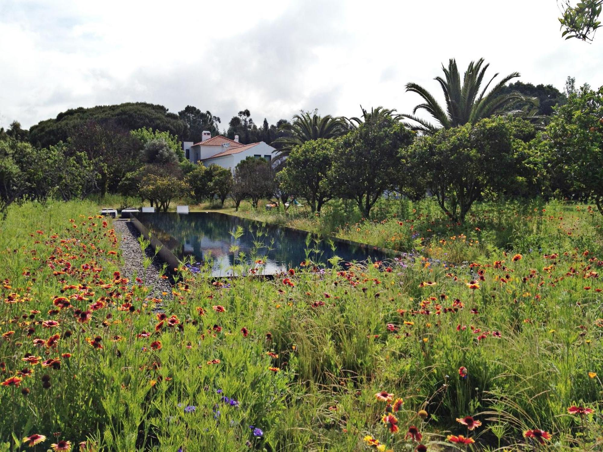 Quinta Do Miguel Villa Aldeia do Meco Exteriör bild