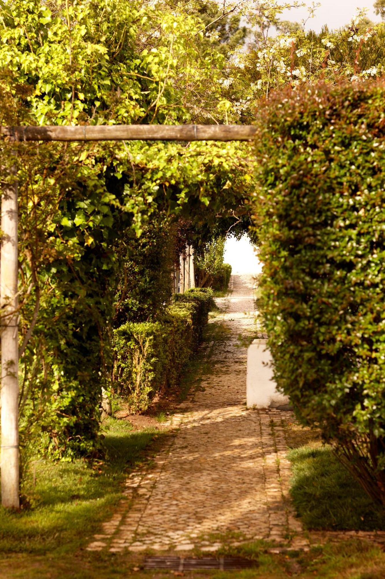 Quinta Do Miguel Villa Aldeia do Meco Exteriör bild