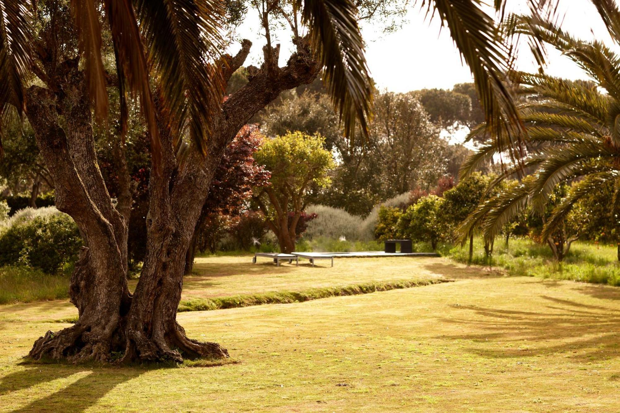 Quinta Do Miguel Villa Aldeia do Meco Exteriör bild