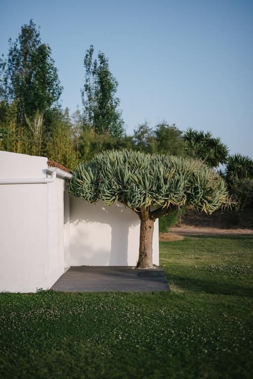 Quinta Do Miguel Villa Aldeia do Meco Exteriör bild